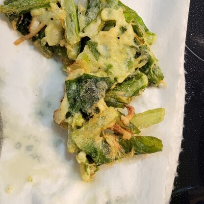 まさか小松菜も天ぷらで美味しくいただけるなんて、、、！！
感動です！
シンプルに塩で食べましたが
とっても美味しかったのでまたリピしたいです。